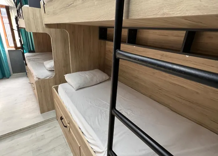 新伊斯提克拉旅舍 旅馆 *