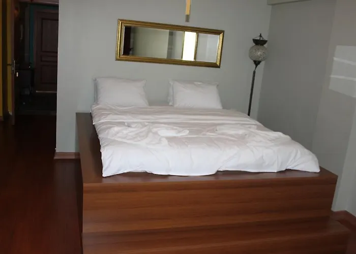 新伊斯提克拉旅舍 * 伊斯坦布尔