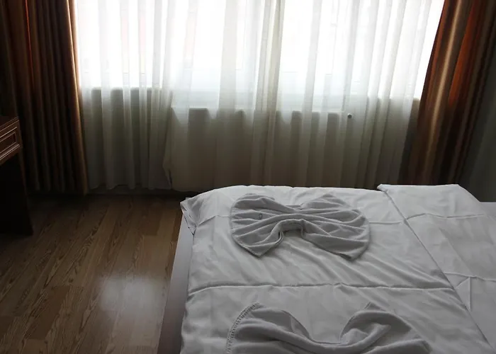 新伊斯提克拉旅舍 旅馆