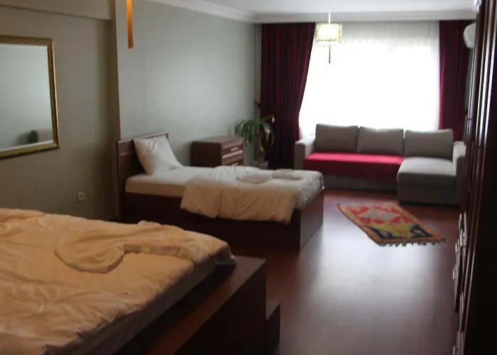 旅馆 新伊斯提克拉旅舍 *